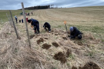 Myslivecký spolek Horní Heřmanice zahajuje výsadbu plodonosných keřů